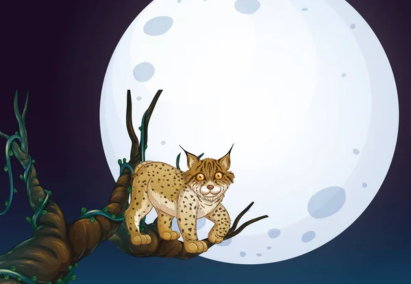 Gato Salvaje Noche Oscura Ilustración — Archivo Imágenes Vectoriales