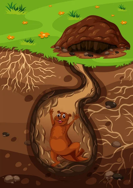 Een Gelukkig Otter Hole Afbeelding — Stockvector
