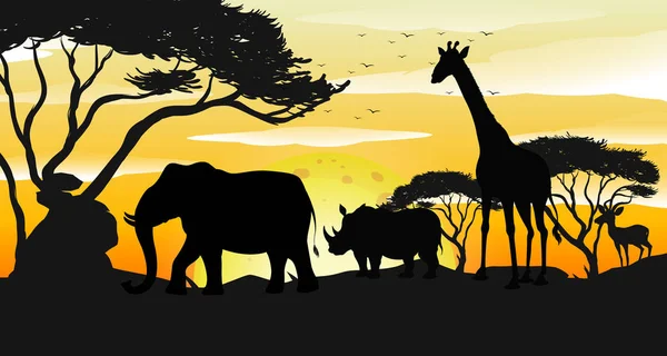 Afrika Savana Siluet Günbatımı Sahne Illüstrasyon — Stok Vektör