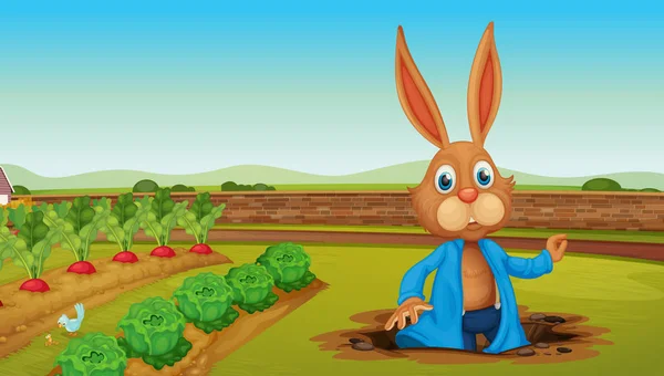 Bir Tavşan Çiftliği Illüstrasyon — Stok Vektör