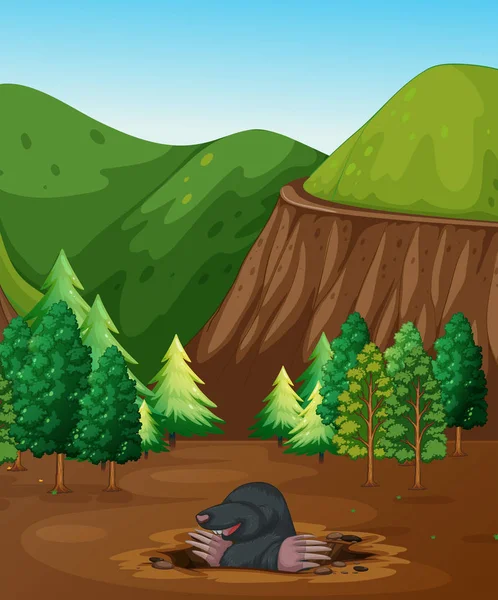 Köstebek kazma zemin şekil