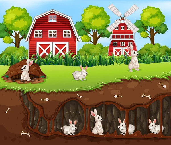 Rabbit House Underground Ilustração Fazenda — Vetor de Stock