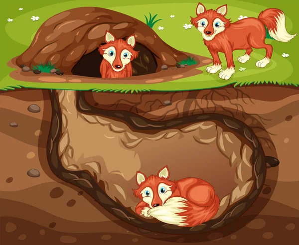 Una Ilustración Fox Family Living Underground — Archivo Imágenes Vectoriales