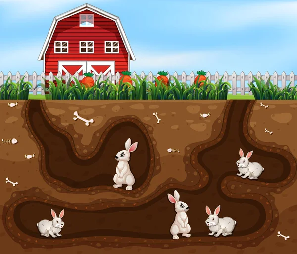 Králík Dům Underground Farmě Ilustrace — Stockový vektor