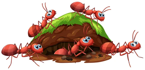 Fire Red Ants Hole Illustration — Stock Vector