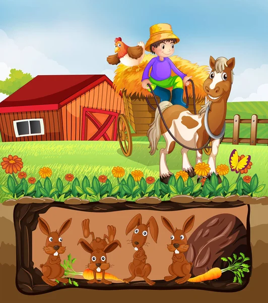 Rabbit Living Underground Farm Ilustração —  Vetores de Stock
