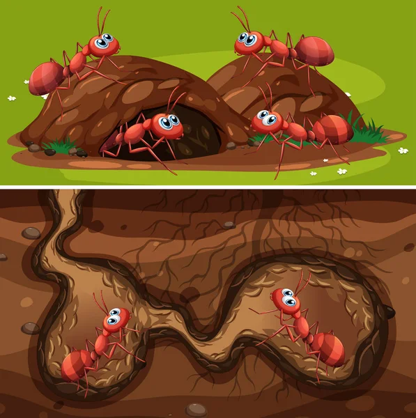 Fire Ants Nest Illustration — Stock Vector