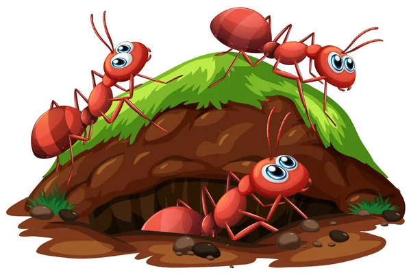 Worker Ants White Background Illustration — Stock Vector
