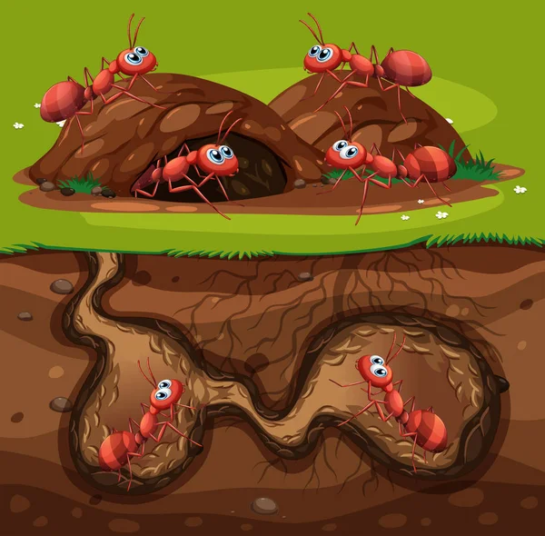 Group Working Ants Hole Illustration — Stock Vector