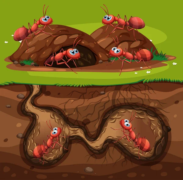 Groupe Fourmis Travail Dans Trou Illustration — Image vectorielle