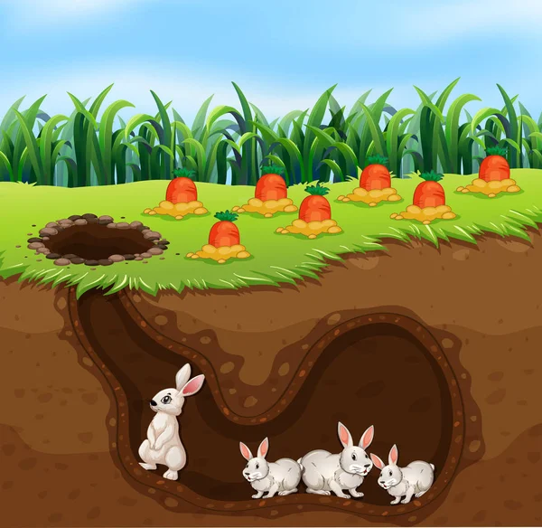 Rabbit Family Living Hole Illustration — Stock Vector