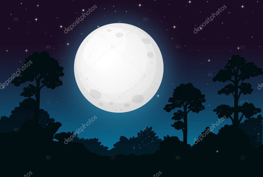 A Dark Full Moon Night illustration