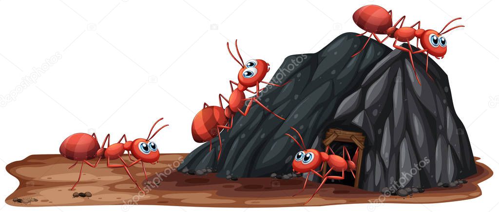 A Ants Family Living in Hole illustration