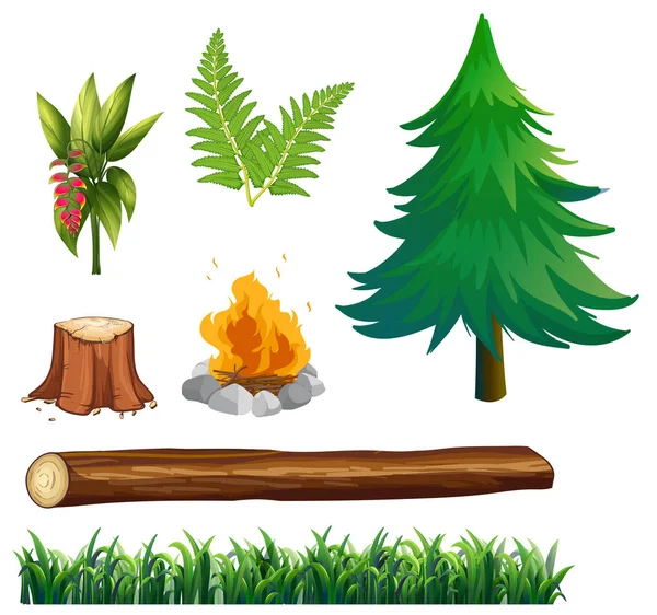 Набор Иллюстраций Лесного Элемента — стоковый вектор