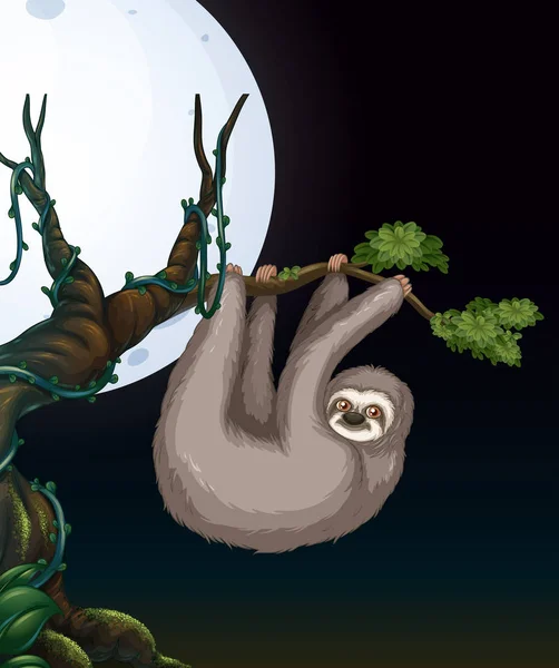 Sloth Tree Branch Night Illustration — Stock Vector
