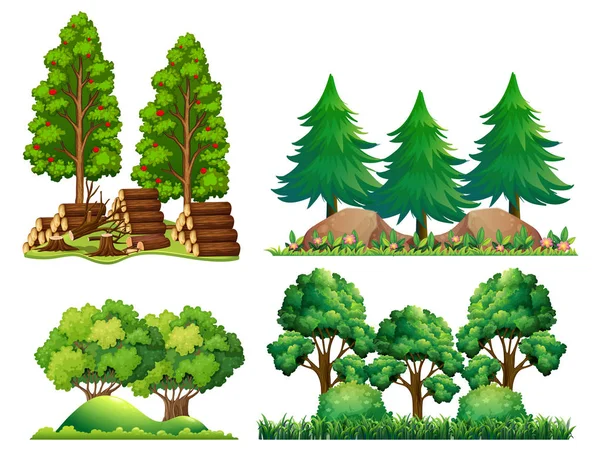 Ensemble Illustrations Paysages Forestiers — Image vectorielle