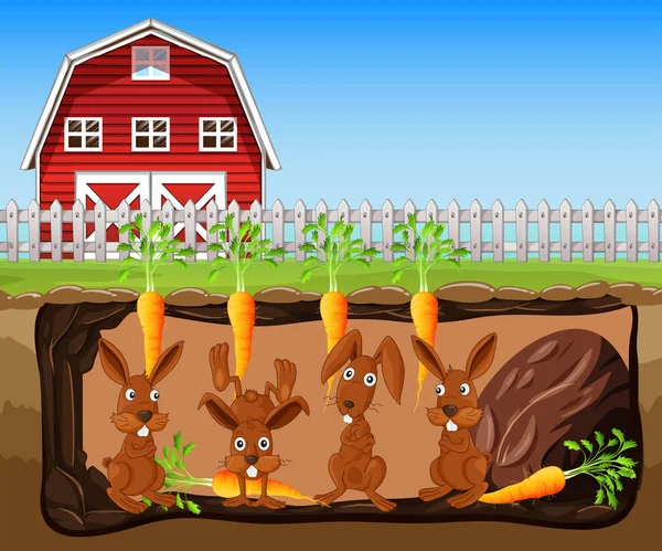 Illustration Rabbit Living Underground Farm — Image vectorielle