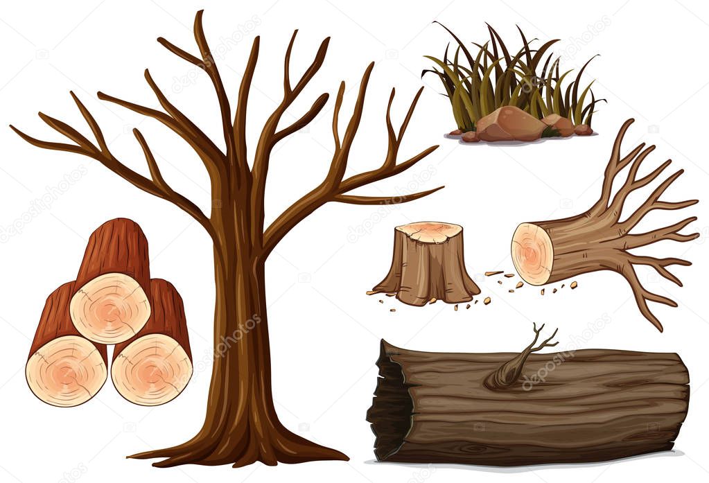 A Set of Wood illustration