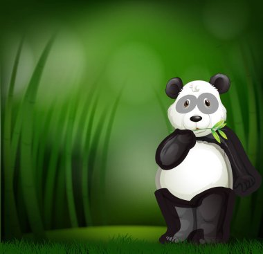 Bambu orman çizimde sevimli panda