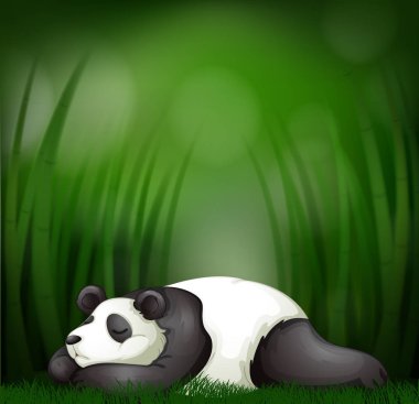 Bambu şablon şekil üzerinde uyuyan panda
