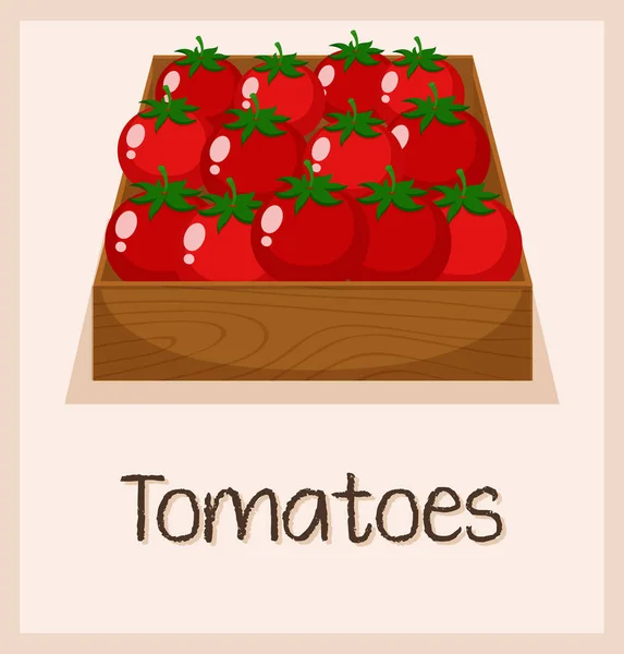 ボックス図のトマト — ストックベクタ