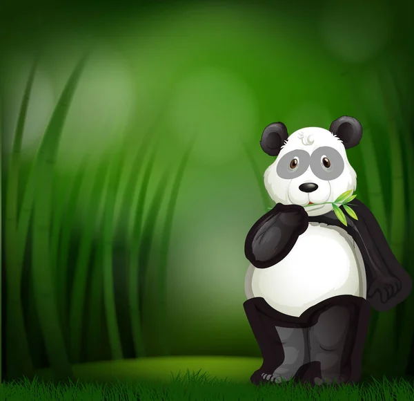 Söta Panda Bambu Skog Illustration — Stock vektor