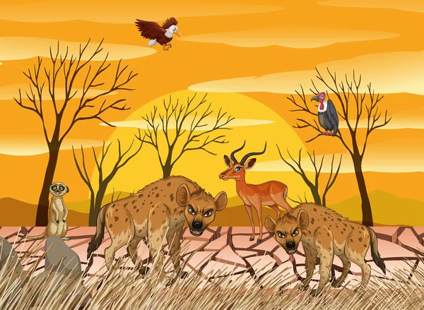 Wild Animals Living Dry Land Illustration — Stock Vector