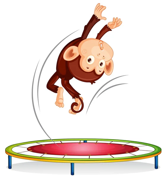 Mono Saltando Sobre Trampolín Ilustración — Vector de stock