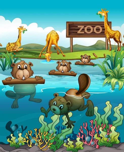 Ilustracja Zoo Zwierzę — Wektor stockowy