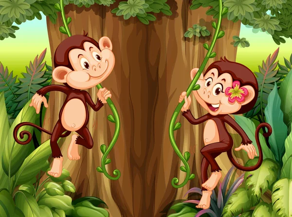 Macaco Pendurado Ilustração Videira — Vetor de Stock