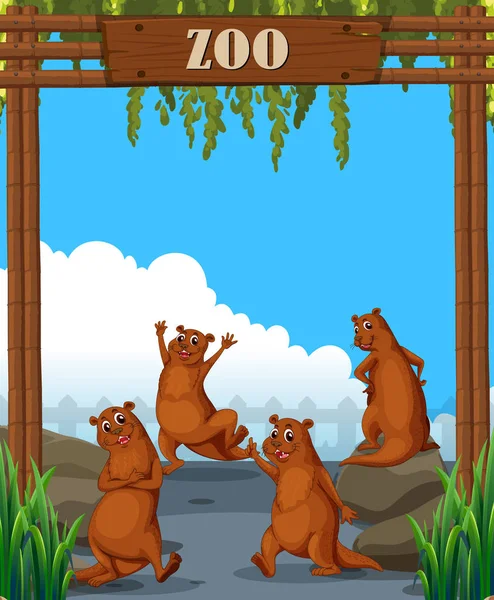 Lontras Zoológico Ilustração — Vetor de Stock