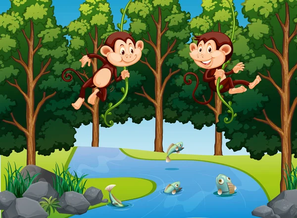 Małpa Wisi Winorośli Lesie Ilustracja — Wektor stockowy