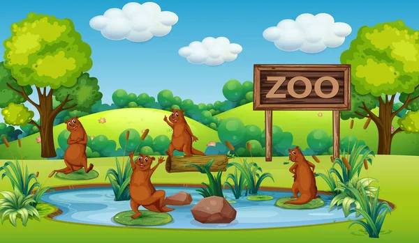 Otter Zoo Illustration — Stock Vector