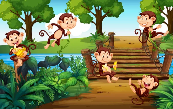 Grupo Macacos Parque Ilustração — Vetor de Stock