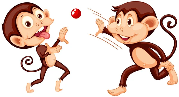猴子玩球白色背景插图 — 图库矢量图片