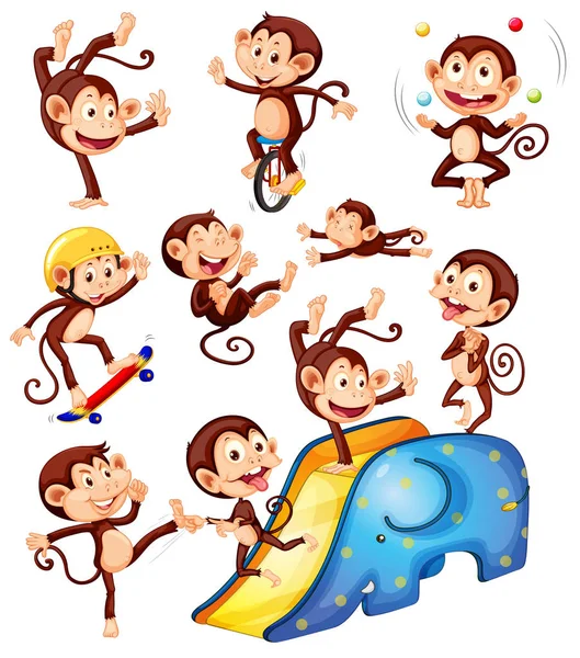 Set Monkey Character Illustration — Stock Vector