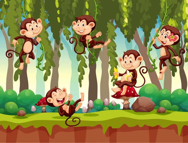 Monkey Jungle Illustration — Stock Vector