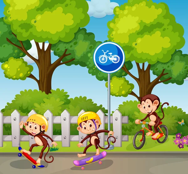 Macaco Montando Uma Bicicleta Skate Ilustração —  Vetores de Stock