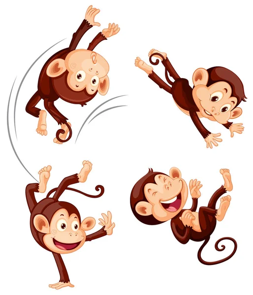 Conjunto Macaco Sobre Fundo Branco Ilustração —  Vetores de Stock