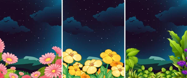 Set Flower Nature Night Illustration — Stock Vector