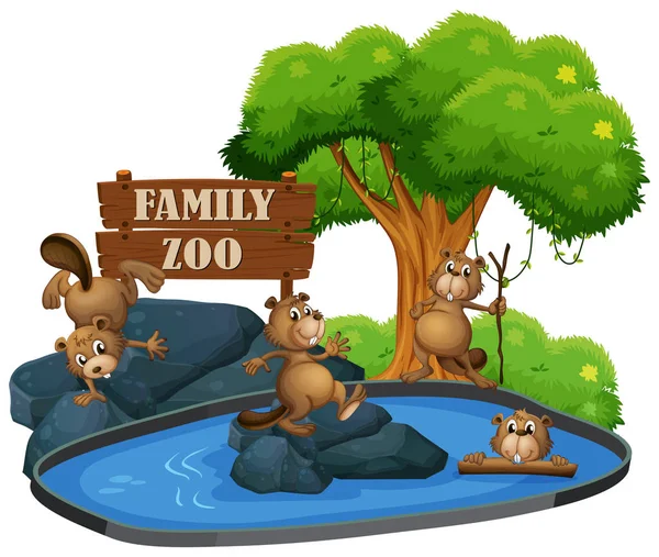 Castor Ilustração Zoológico — Vetor de Stock