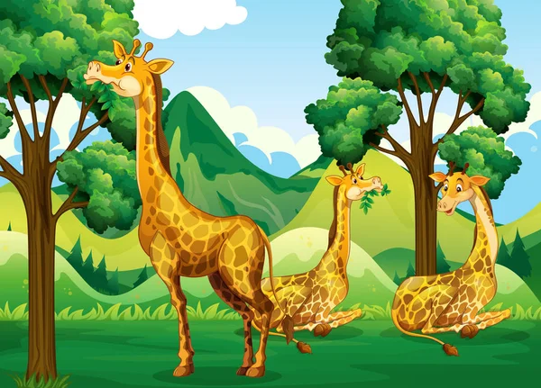 Gruppo Giraffe Illustrazione Foresta — Vettoriale Stock