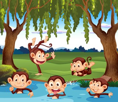 Doğa illüstrasyon iskambil maymun