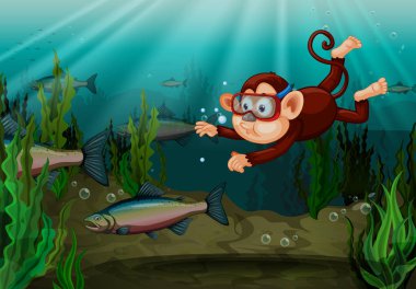 Nehir çizimde balık yakalamak bir maymun