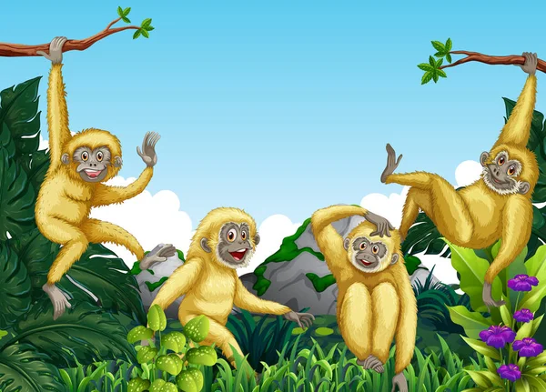 Ape Jungle Afbeelding — Stockvector
