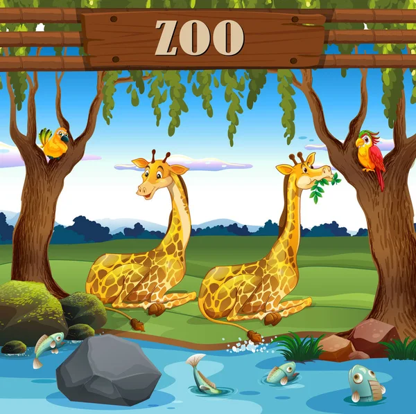 Girafe Dans Illustration Zoo — Image vectorielle