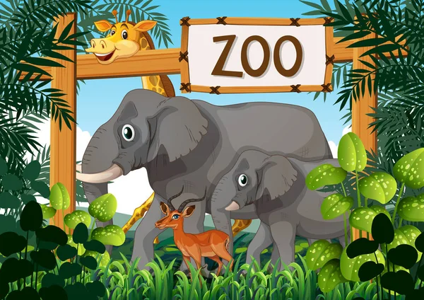 Wild animals in the zoo illustration