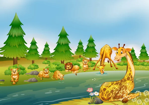 Wildtiere Die Fluss Leben Illustration — Stockvektor