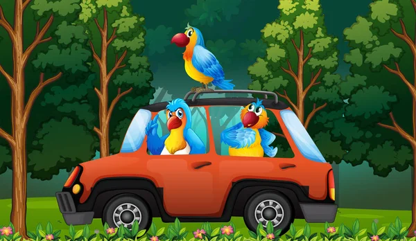 A group parrot on the car illustration