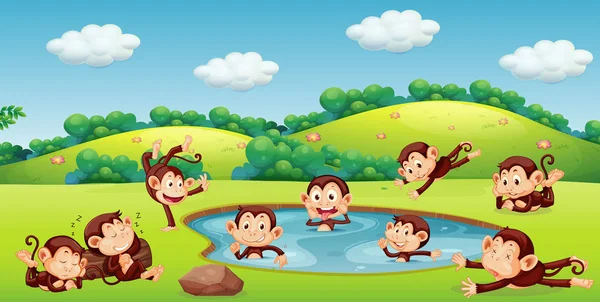 猴子玩自然插画 — 图库矢量图片